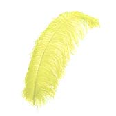 Ostrich Feather Plume 55-60 cm - YELLOW